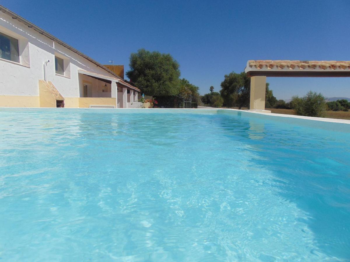 Studio Andalou , Campagne , Chevaux , Piscine Commune Daire Arcos de la Frontera Dış mekan fotoğraf