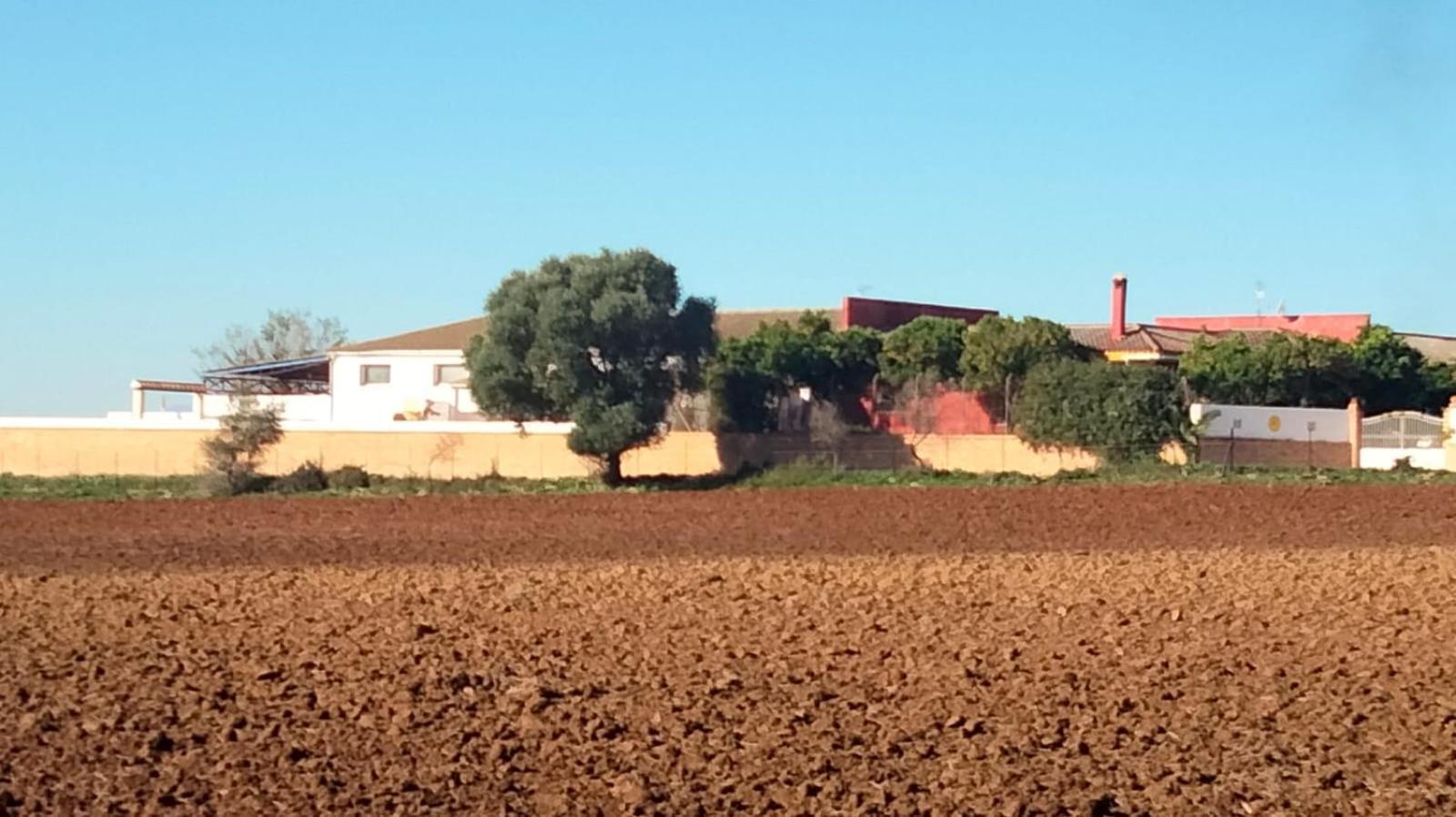 Studio Andalou , Campagne , Chevaux , Piscine Commune Daire Arcos de la Frontera Dış mekan fotoğraf